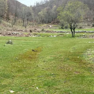 Deluis , Gramsh Albania